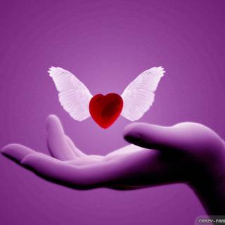 Romantic pic wallpaper