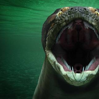 Titanoboa wallpaper