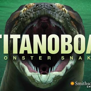 Titanoboa wallpaper
