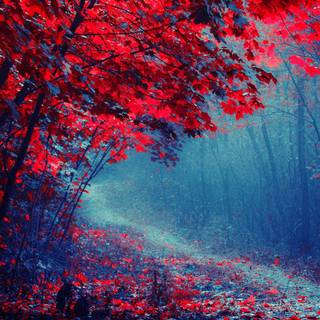 Red autumn wallpaper