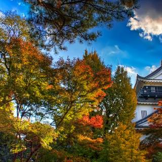 Autumn 4k 3840x2160 wallpaper