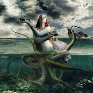 Sea creature wallpaper