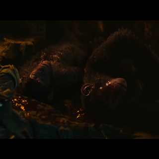 Planet of The Apes Colonel J. Wesley McCullough wallpaper