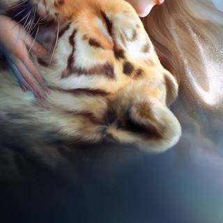 Women with animals wallpaper