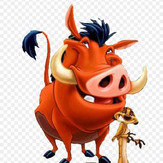 Timon and Pumba wallpaper