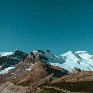 Elementary OS wallpaper