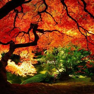 Dual screen autumn wallpaper