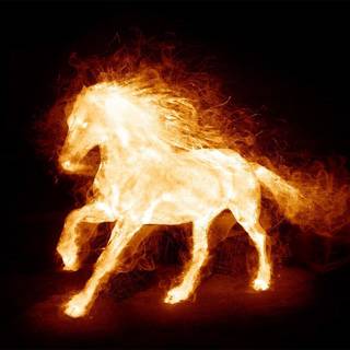 Horse fire wallpaper