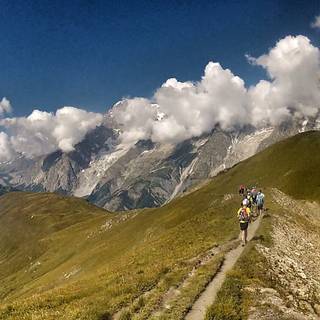 Trail running wallpaper