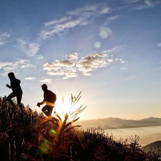 Trail running wallpaper