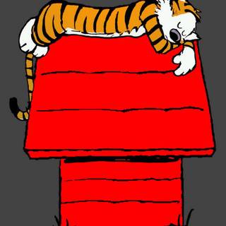 Cartoon 4k mobile wallpaper