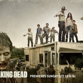 Shane Walsh wallpaper