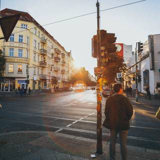 Sunny avenue wallpaper