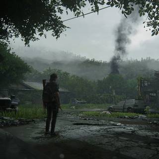 The Last of Us II wallpaper