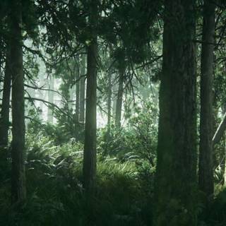 The Last of Us II wallpaper