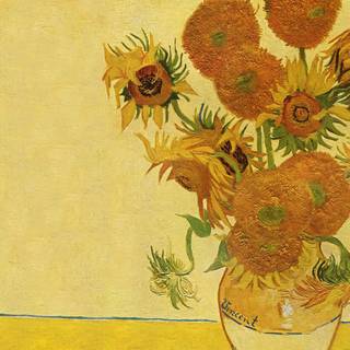 Sunflower Vans wallpaper