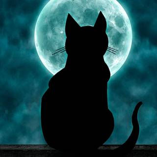 Halloween cat moon wallpaper