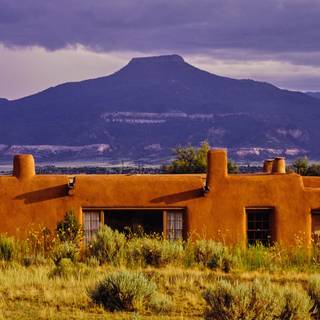 Georgia O'Keeffe wallpaper