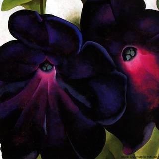 Georgia O'Keeffe wallpaper