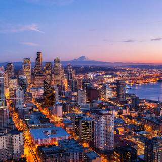 The Night Of serie wallpaper