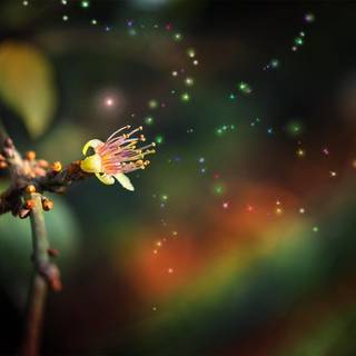 Photography art desktop wallpaper