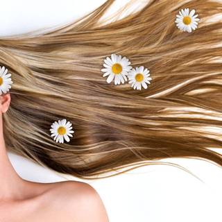 Women hair salon wallpaper