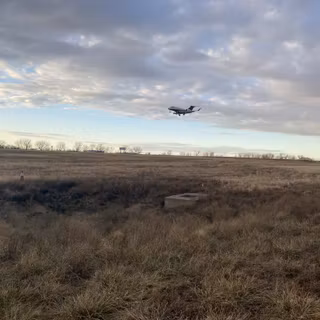 Relic Runway wallpaper