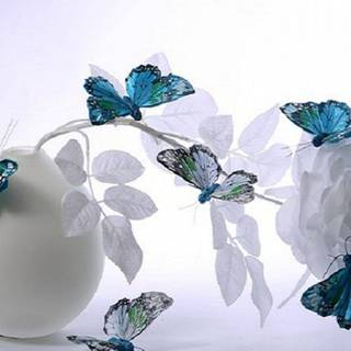 Flutter of wings wallpaper