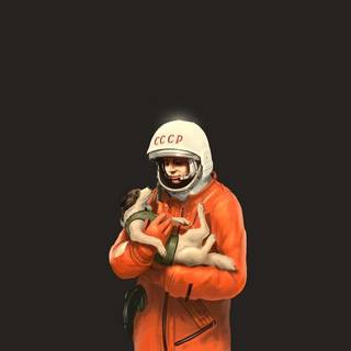 Desktop space dog wallpaper