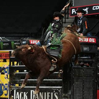 J. B. Mauney wallpaper
