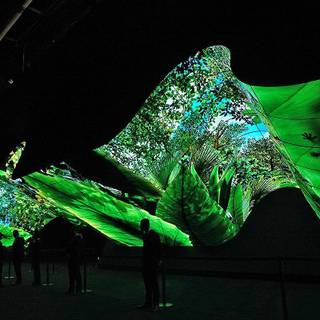 Oled gaming wallpaper