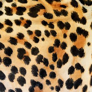 Leopard print computer wallpaper