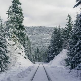 Track on snow wallpaper
