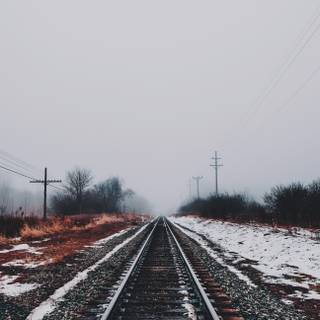 Track on snow wallpaper