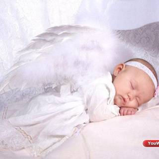 Baby angel wallpaper