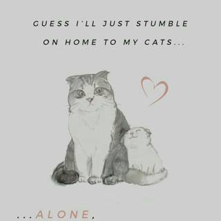 Taylor Swifts cats wallpaper