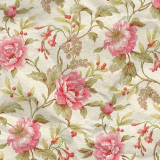 Flower iPhone 11 wallpaper