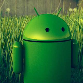 Android logo green wallpaper