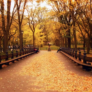 HD NYC autumn wallpaper