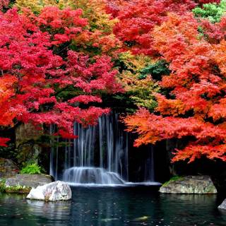 HD waterfall autumn wallpaper