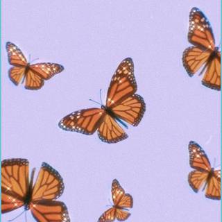 Trippy Tumblr wallpaper