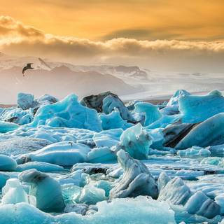 Tasman Glacier wallpaper
