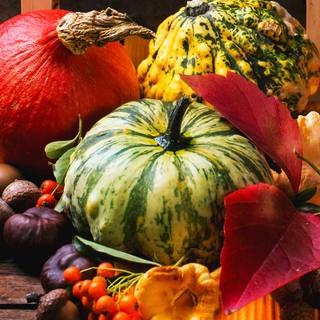 Thanksgiving pumpkin and red map wallpaper