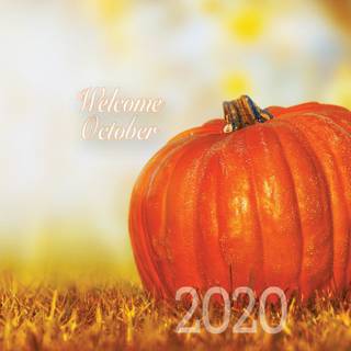 Thanksgiving pumpkin and red map wallpaper