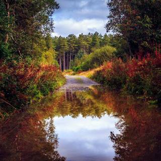Boats autumn lake wallpaper