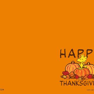 Kid Thanksgiving wallpaper