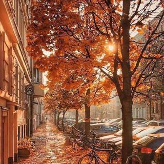 Town autumn wallpaper