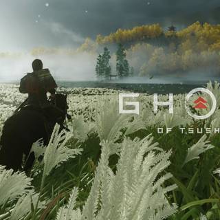 Ghost of Tsushima cool 2020 wallpaper