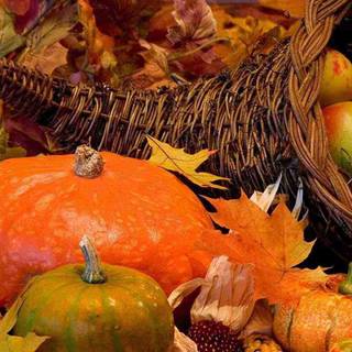 iPhone 8 Thanksgiving wallpaper