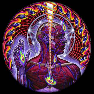 Lateralus wallpaper